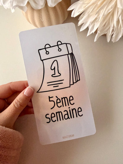 Planches de garde A6